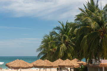 A beach landscape with a palm tree, blue sky and beach umbrellas.