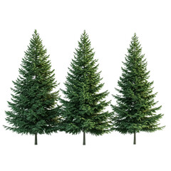 Obraz premium Three evergreen trees isolated on white background AI generative