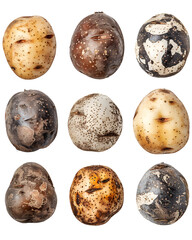 Fototapeta premium Nine potatoes with carved faces on black background
