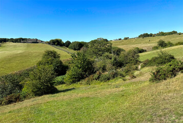 Rolling hills near Judy Woods bask beneath a clear sky, dotted with trees and bushes that cast shifting shadows across the landscape. Faded buildings linger near Wyke, Bradford, Yorkshire, UK