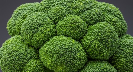 Closeup of Fresh Green Broccoli Florets on Dark Background