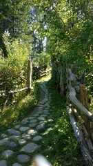 Winding stone path through a lush green garden surrounded by trees