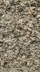 Textured close-up of coarse gravel surface for construction or landscaping