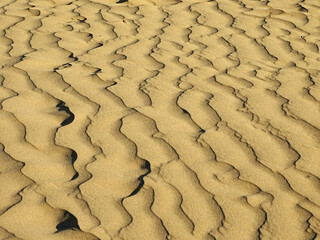 Morning light over sand patterns shaped by the storm, Northern Italy beach