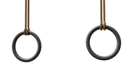 Gymnastics rings hanging from ropes, ready for a workout or training session.