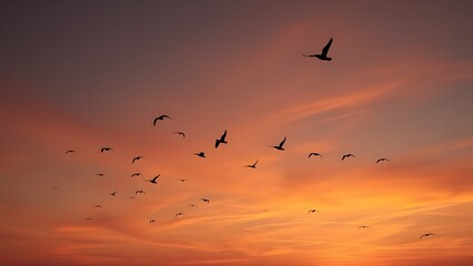 Peaceful sunset sky with flying birds and warm tones, evoking hope and tranquility.