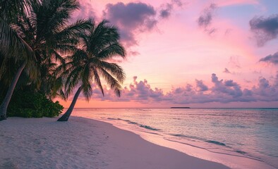 Tropical paradise sunset beach