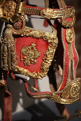 A detailed view of a red and gold belt buckle