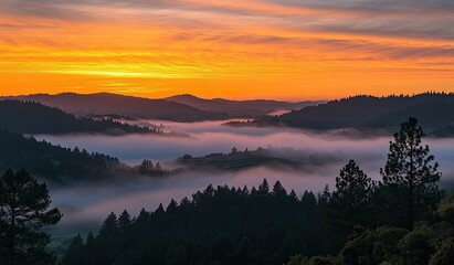 Fototapeta premium Sunrise over valley shrouded in mist