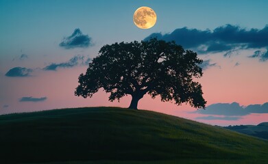 Solitary oak tree atop a grassy hill, bathed in twilight hues beneath a large moon
