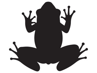 FROG SILHOUETT