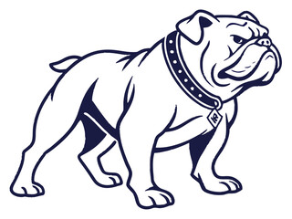 Obraz premium Powerful Bulldog Mascot with Spiked Collar