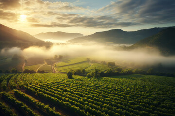 Weinberge an der Mosel, verträumte Landschaft am frühen Morgen bei Sonnenaufgang, Generative AI