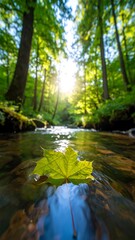 Sunny forest stream with leaf