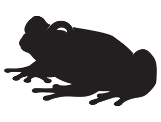 FROG SILHOUETT