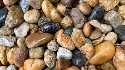 A close-up image of various smooth, wet river pebbles in different colors and textures. The stones...
