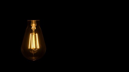 A glowing lightbulb against a dark backdrop, symbolizing creativity and bright ideas.