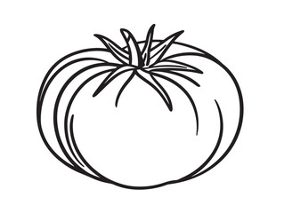 Tomato vegetable icon in clean vector line format