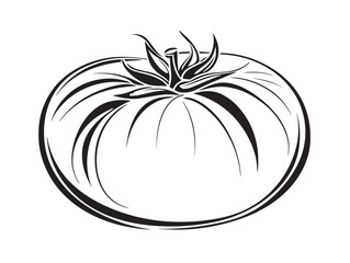 Fresh tomato illustration in elegant vector design