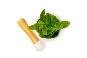 Fresh mint with mortar and pestle isolated on white background. Melissa leaves. Healing herbs green...