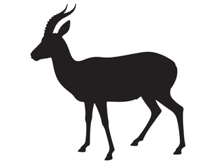 GAZELLE SILHOUETTE