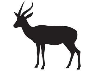 GAZELLE SILHOUETTE