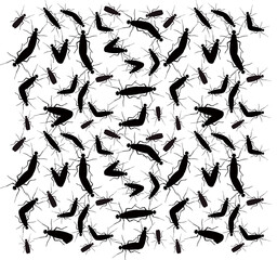 러브버그 lovebug