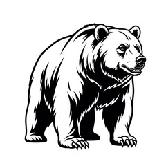 wild, wildlife, brown bear, fur, big, animal, nature, wilderness, brown, fauna, mammal, large, bear, predator, european, ursus arctos, dangerous, carnivore, natural, cute, forest, tree, danger, 