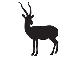 GAZELLE SILHOUETTE