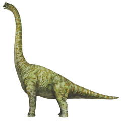 Tall dinosaur statue with a long neck. © Ilie