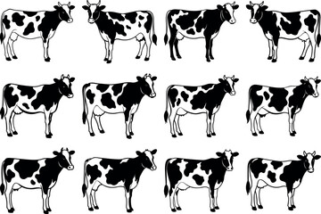 Collection of black and white cows isolated on white background