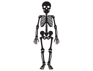 HUMAN SKELETON SILHOUETTE