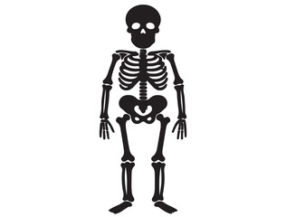 HUMAN SKELETON SILHOUETTE