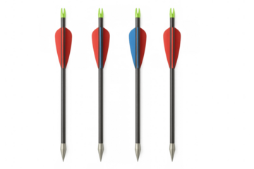 Hunting archery arrows featuring red, blue vanes and green nocks, displayed against transparent background