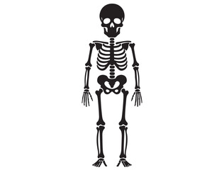 HUMAN SKELETON SILHOUETTE