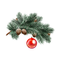 Hand-Drawn Pine Branch Illustration with Cones and Red Ornament