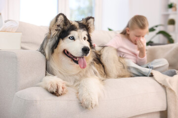 Girl suffering from allergy with her dog at home, selective focus