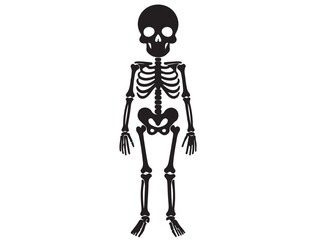 HUMAN SKELETON SILHOUETTE