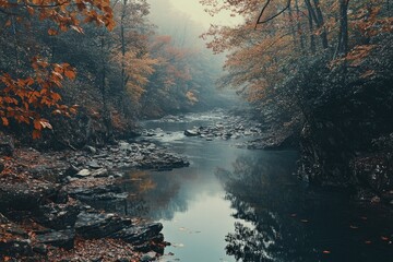 Misty autumn stream, surrounded by colorful trees