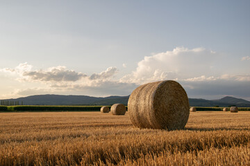 Straw bales on mowed agricultural field at sunset in landscape format.