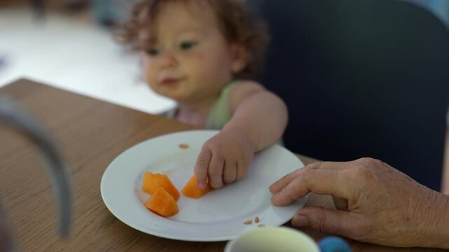 Toddler reaching for melon pieces on plate while seated at table, small hand grasping food with focused expression and adult hand nearby