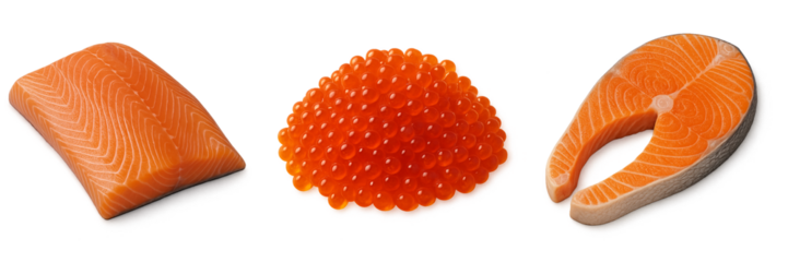 red fish set. fish set. salmon steak. fish fillet