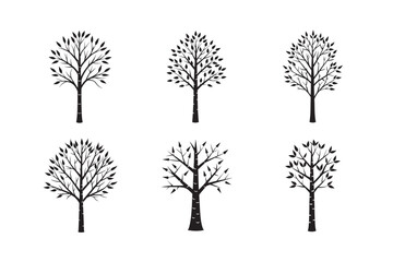 Fototapeta premium silhouette birch tree set bundle on white background