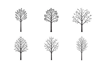Fototapeta premium silhouette birch tree set bundle on white background