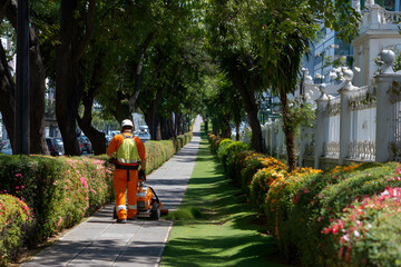 Worker trimming grass along the sidewalk in a sunny urban park during the afternoon