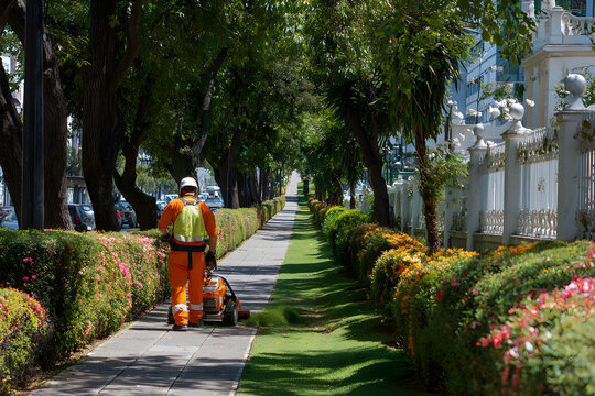 Worker trimming grass along the sidewalk in a sunny urban park during the afternoon