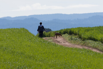 PERSONA PASEANDO POR UN PAISAJE VERDE CON UN PERRO