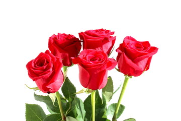 A bouquet of red roses is on a white background.	