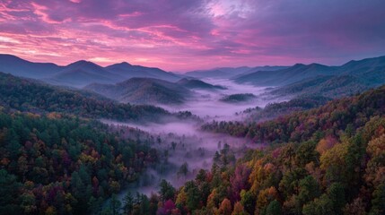 Obraz premium Colorful trees fill the mountains and valleys in the Great Smoky Mountains during autumn. A thick mist blankets the area as the sun rises, creating a serene atmosphere.