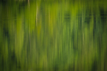 Vertical abstract blur of green and yellow hues reflected on water, creating a natural painterly effect resembling forest shadows and light.